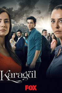 Черная роза/Чёрный цветок